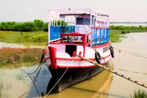 Sundarban Package Tour Lonch